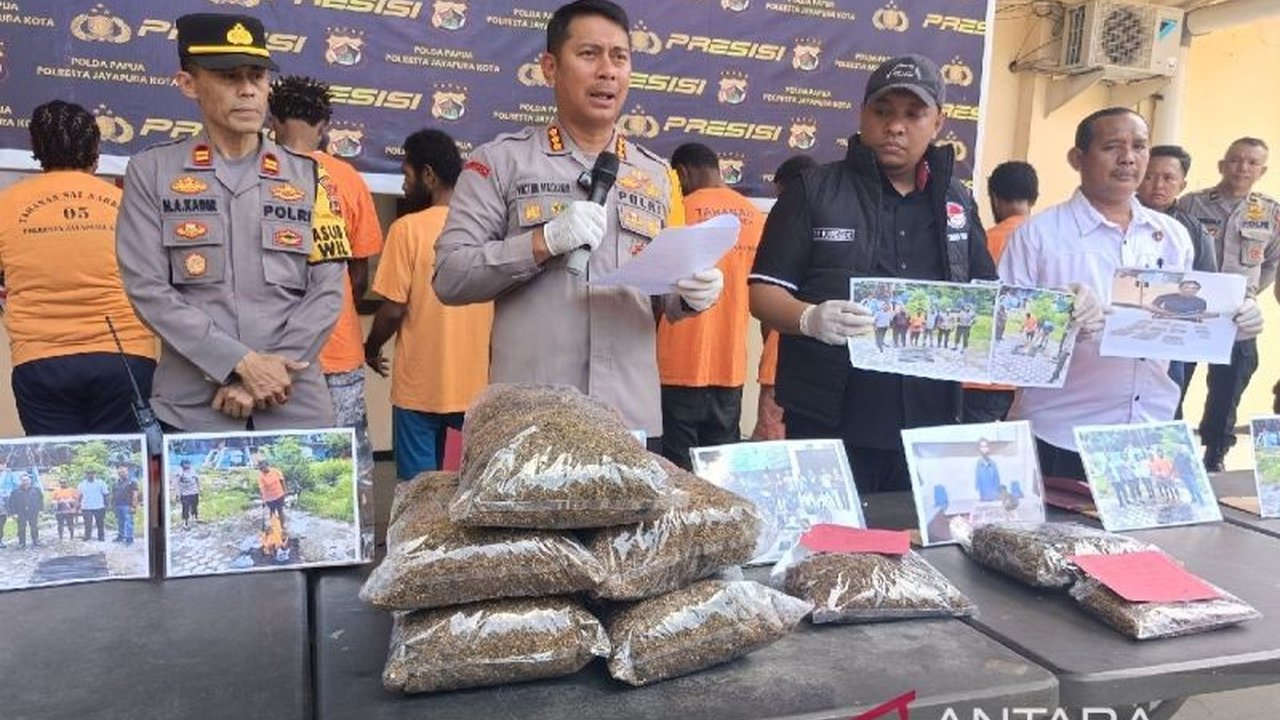 Polresta Jayapura Kota berhasil mengamankan tujuh kilogram ganja senilai Rp300 juta dari 11 tersangka, dua di antaranya warga Papua Nugini, dengan modus penyelundupan melalui jalur perbatasan dan laut.
