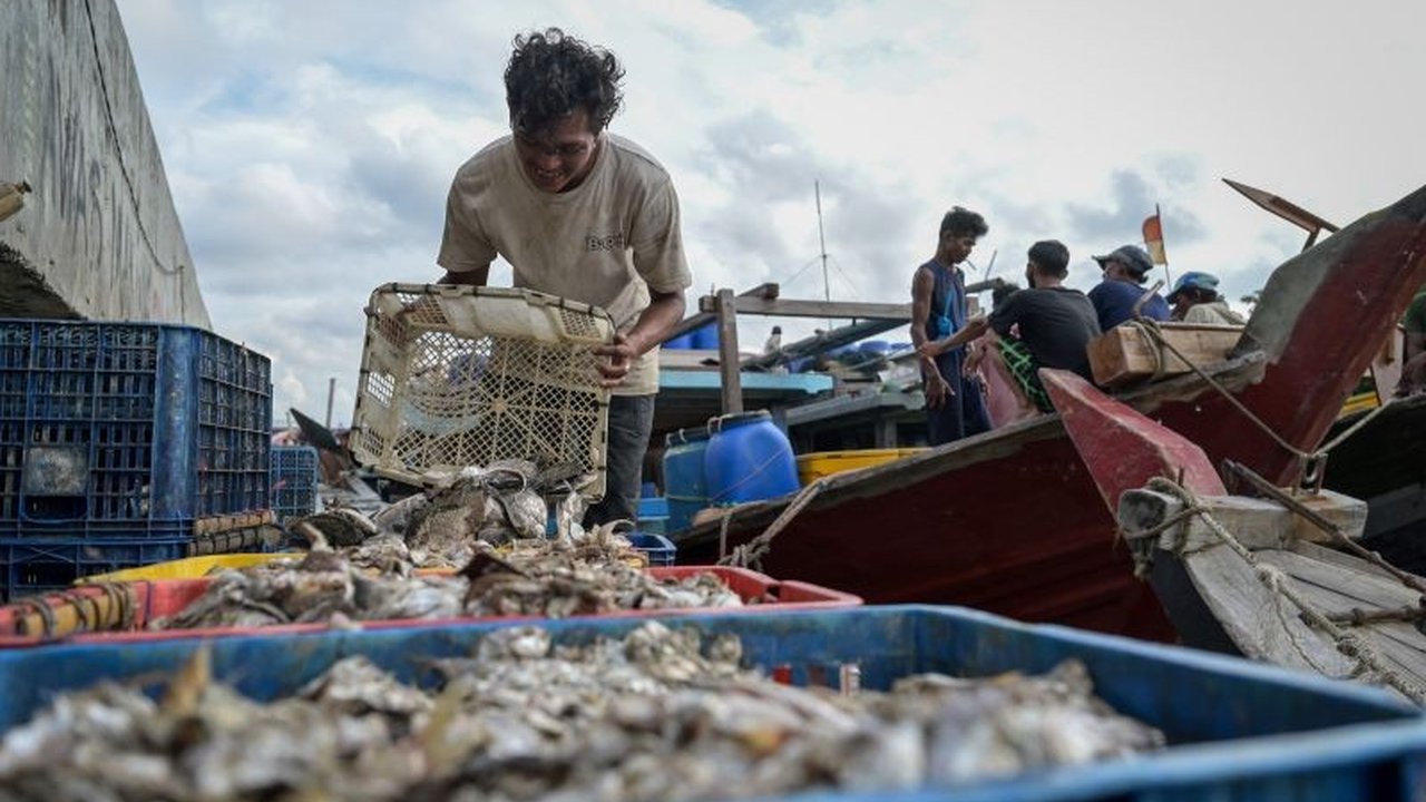 BRIN dan ILO mendesak pemerintah Indonesia untuk menyelaraskan UU Perikanan dengan standar internasional guna melindungi hak dan kesejahteraan awak kapal perikanan tangkap.