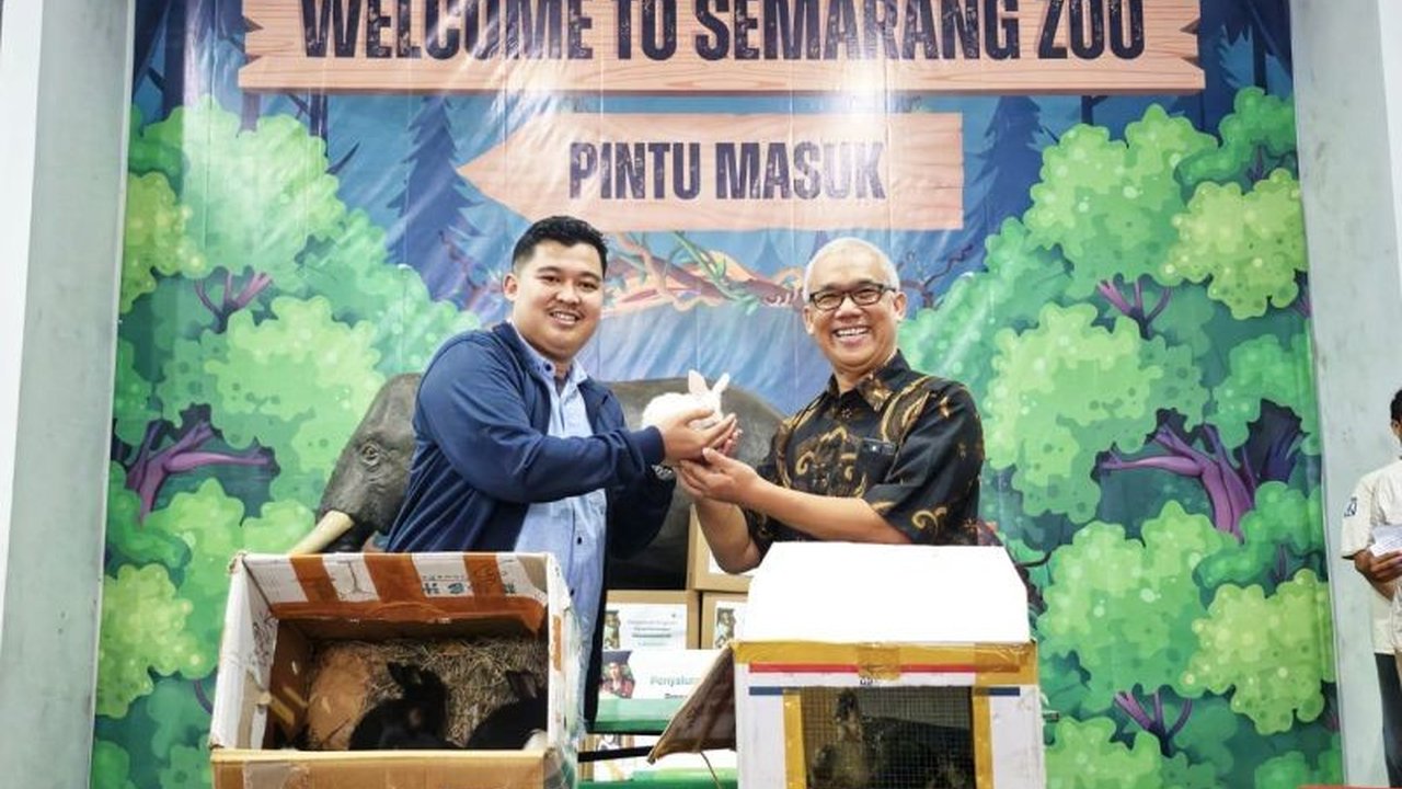 Jelang libur Lebaran 2025, Semarang Zoo menambah koleksi satwa melalui hibah dan kerja sama untuk meningkatkan daya tarik wisata dan memberikan pengalaman lebih menyenangkan bagi pengunjung.