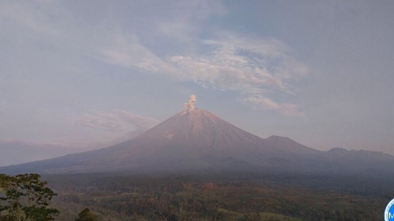 Gunung Semeru erupsi dengan letusan mencapai 1.000 meter di atas puncak, namun aktivitas warga di lereng gunung tetap normal; PVMBG mengeluarkan rekomendasi zona bahaya.