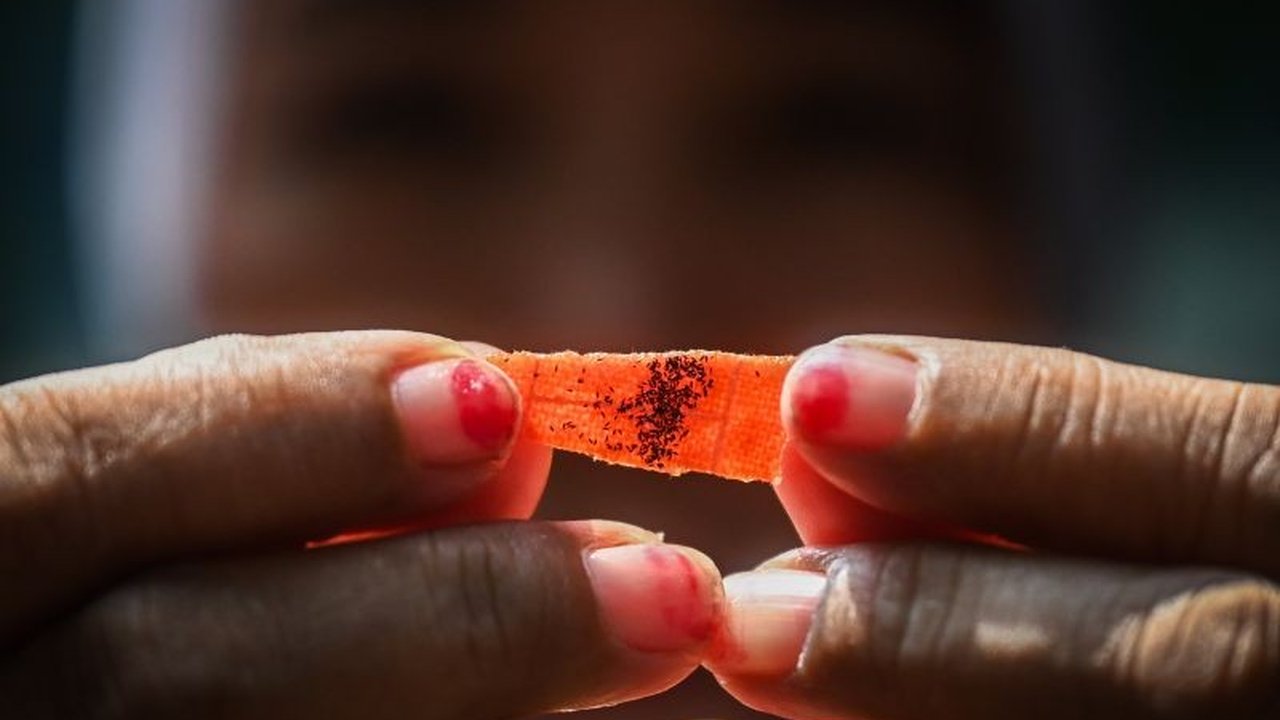 Kasus Demam Berdarah Dengue (DBD) di DKI Jakarta turun menjadi 1.416 kasus hingga Maret 2025, namun Pemprov DKI tetap waspada dan gencar melakukan PSN serta sosialisasi 3M.