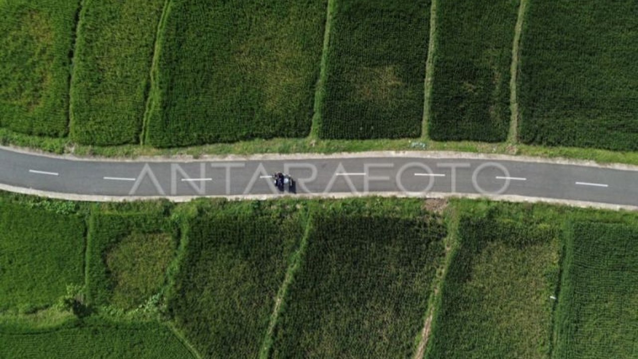 Program Serapan Gabah di Kotim berhasil menyerap 14,3 ton gabah dengan harga Rp6.500/kg, memberikan keuntungan lebih besar bagi petani dan mendorong peningkatan produksi.