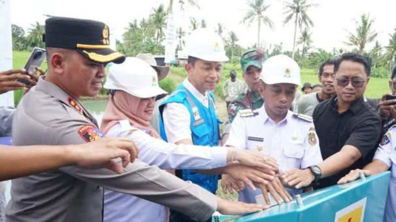 Listrik Masuk Sawah: Pemkab Sidrap dan PLN Pacu Produktivitas Pertanian