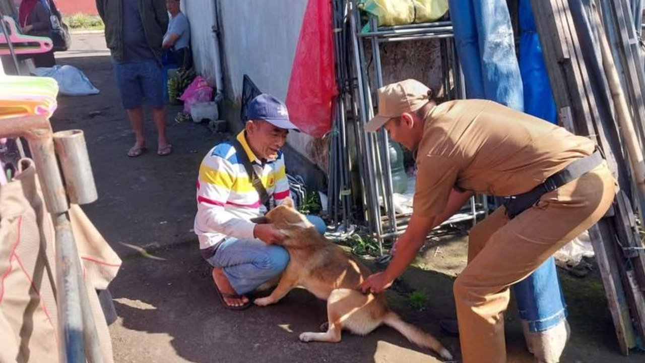 Dinas Pertanian Buleleng gencar melakukan vaksinasi rabies massal dan membentuk Tim Siaga Rabies (Tisira) untuk menekan angka kasus rabies di Bali Utara, dengan populasi anjing lebih dari 80 ribu ekor.