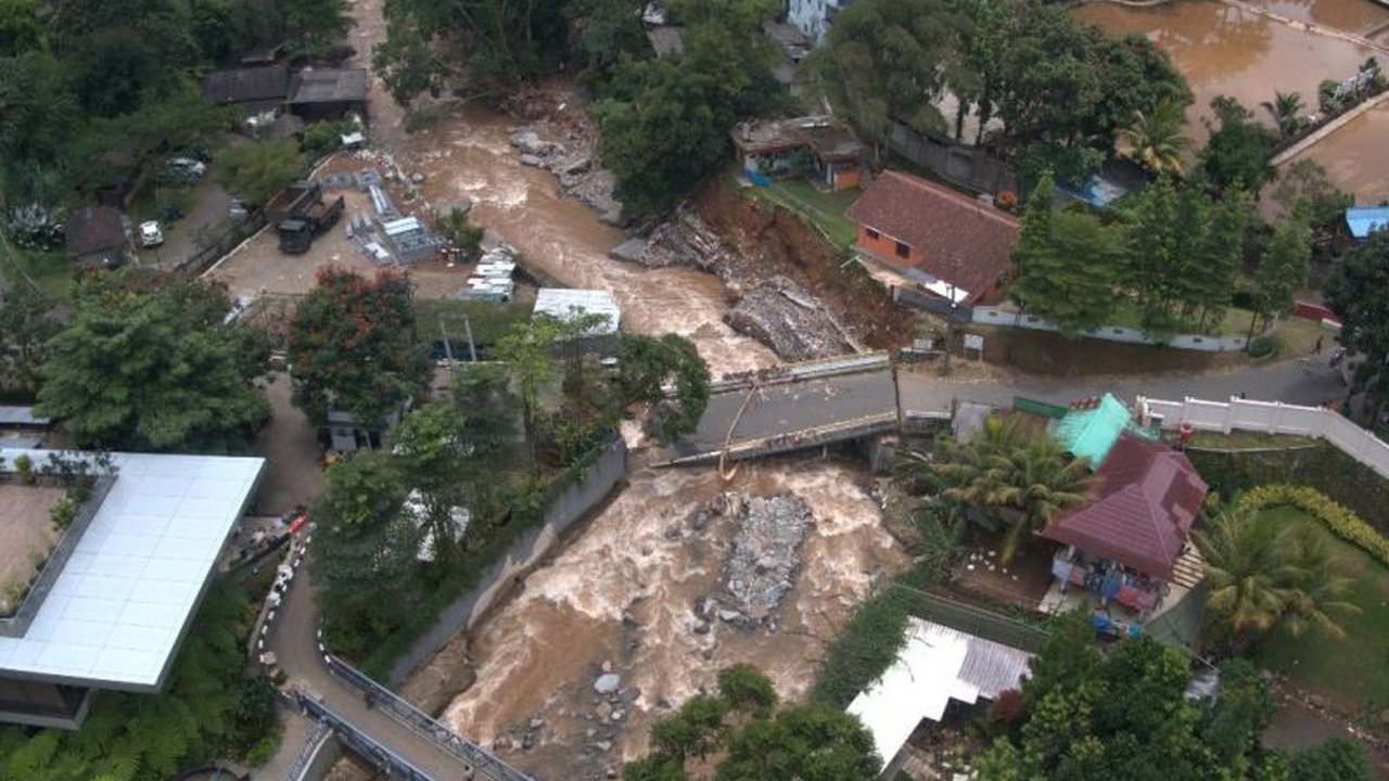 Forest Watch Indonesia (FWI) menemukan kerusakan hutan di hulu sungai Ciliwung, Bekasi, dan Cisadane mencapai 2.300 hektare, menyebabkan banjir di Jakarta dan sekitarnya akibat hilangnya fungsi konservasi air dan tanah.