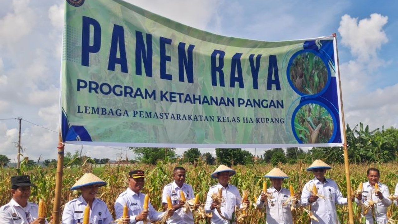 Kepala Kantor Wilayah Ditjenpas NTT, Maliki, mengapresiasi panen raya jagung di Lapas Kupang sebagai wujud nyata pembinaan dan pemberdayaan warga binaan serta dukungan terhadap ketahanan pangan nasional.