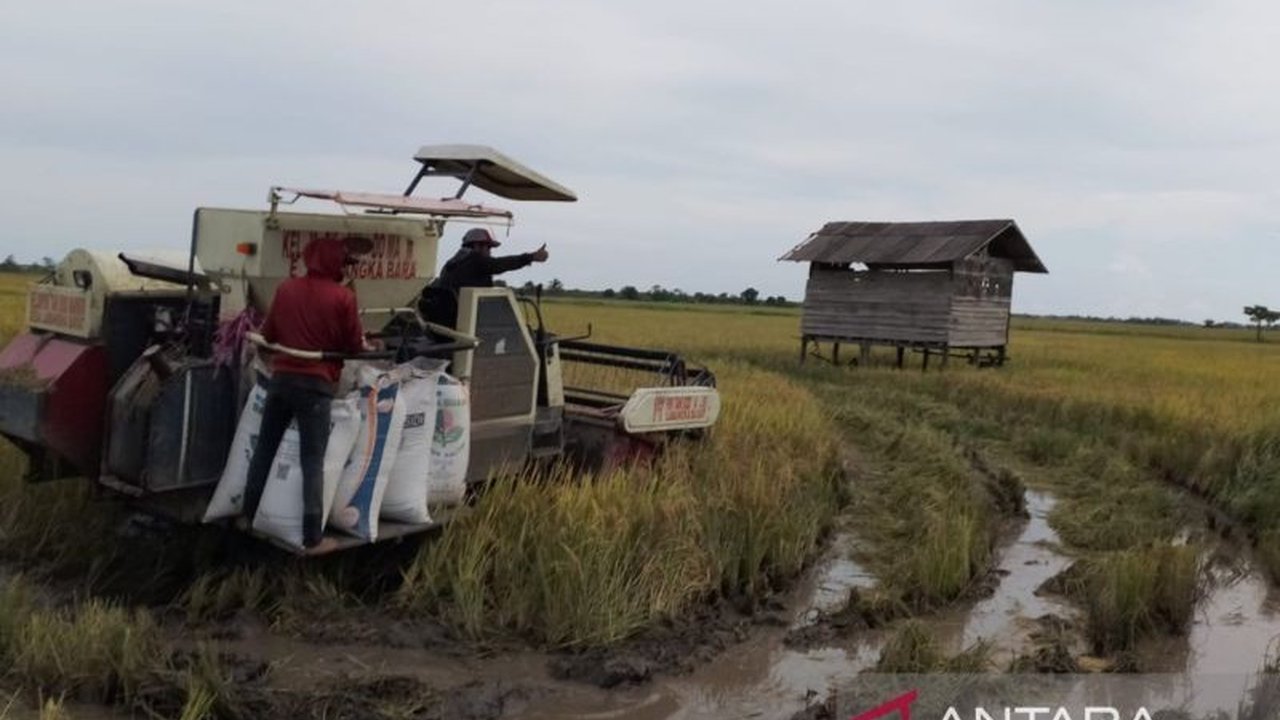 Mekanisasi Pertanian: Kunci Gaet Generasi Muda di Penajam Paser Utara?