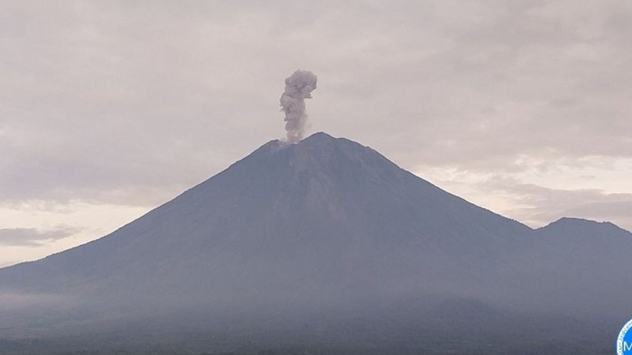 Gunung Semeru di Jawa Timur erupsi sebanyak lima kali pada Kamis pagi dengan tinggi letusan hingga 900 meter, menyebabkan peningkatan kewaspadaan.