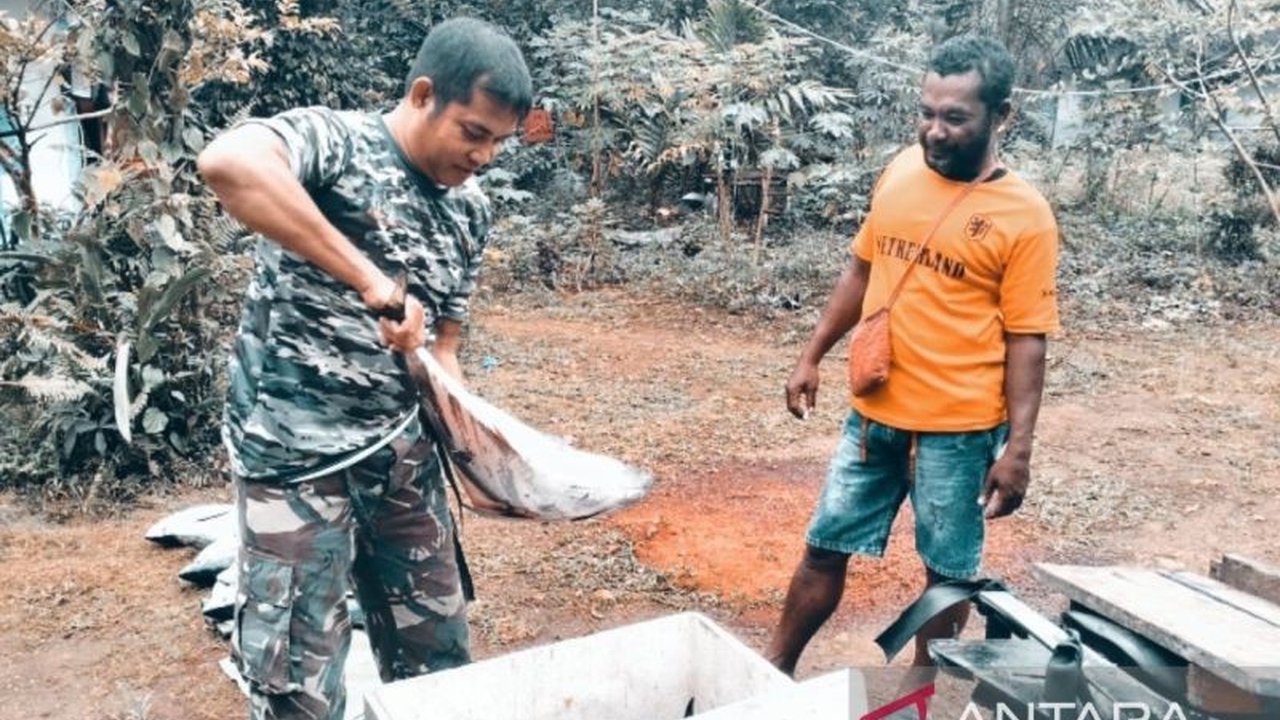 Program TMMD ke-123 Kodim 1708 Biak di Kampung Kbusdori, Papua, tak hanya membangun infrastruktur, tetapi juga memberikan dampak ekonomi positif bagi warga sekitar melalui pembelian hasil pertanian dan perikanan.