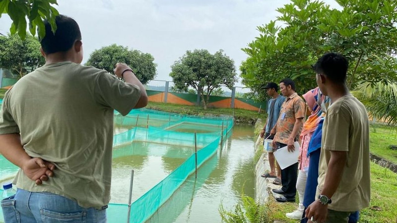 Kementerian Kelautan dan Perikanan (KKP) gencar mengawasi mutu benih ikan melalui sertifikasi CPIB untuk menjamin keamanan pangan dan mendukung ketahanan pangan nasional.
