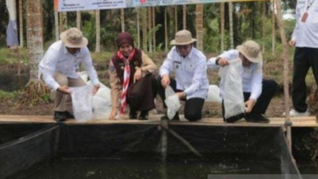 Pemkab Bangka Tengah Dorong Ketahanan Pangan dengan Bantuan 7.000 Bibit Ikan