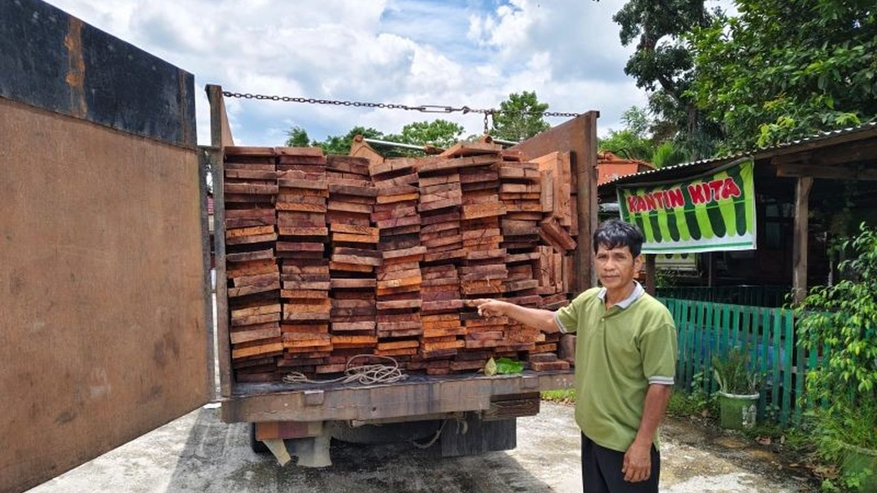 Brigade Beruang berhasil mengamankan pembalak liar beserta 211 keping kayu olahan ilegal di Suaka Margasatwa Kerumutan, Riau; pelaku merupakan residivis kasus serupa.