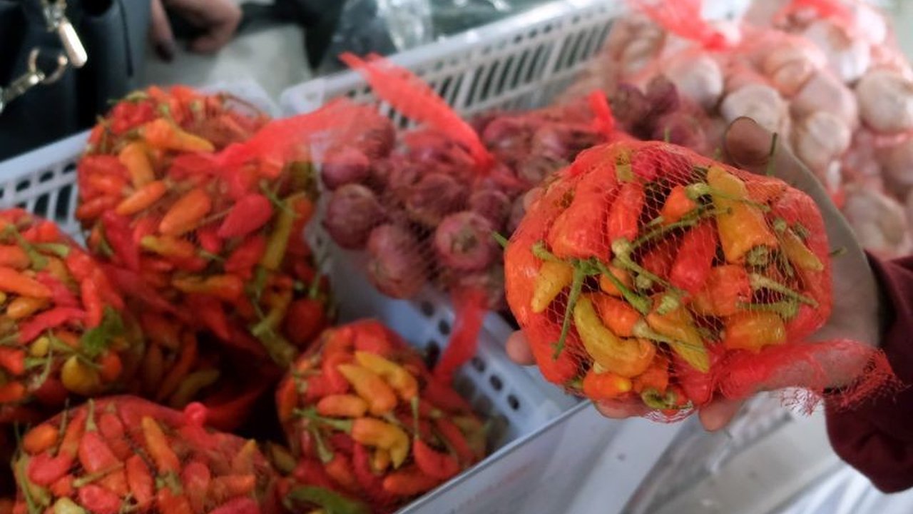 Kepala Ekonom PermataBank memprediksi inflasi Maret 2025 naik moderat karena faktor musiman jelang Lebaran, meskipun pemerintah menerapkan kebijakan diskon tarif tol dan tiket pesawat.