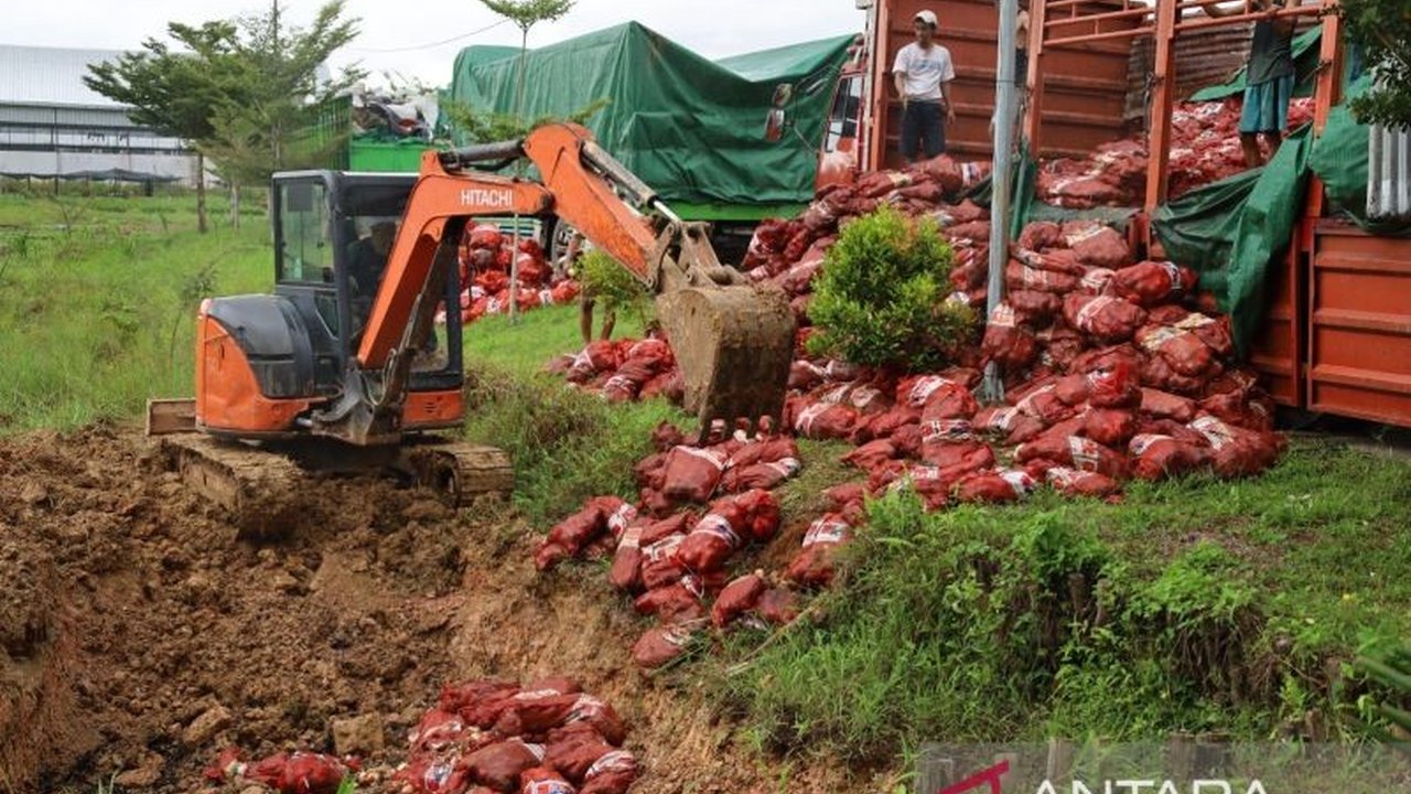47 ton bawang bombai ilegal senilai Rp940 juta dimusnahkan Bea Cukai dan Lantamal XII Pontianak untuk melindungi masyarakat dan perekonomian Indonesia.