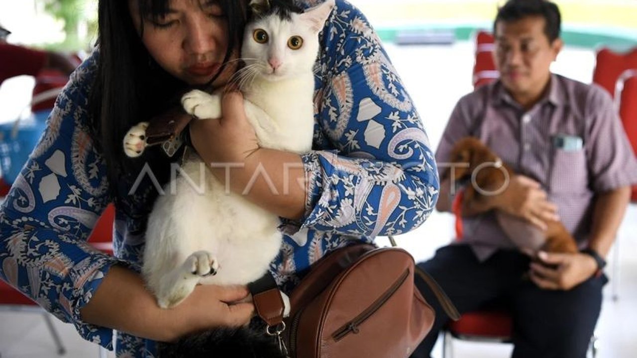 Jakarta Bercita-cita Jadi Kota Ramah Hewan: Pulau Kucing hingga Puskesmas Hewan di Setiap Wilayah