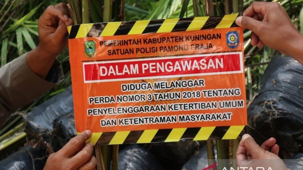 Bupati Kuningan melarang penanaman kelapa sawit untuk melindungi lingkungan, ketahanan pangan, dan kelestarian alam, serta melakukan sidak dan penyegelan bibit sawit yang ditemukan.