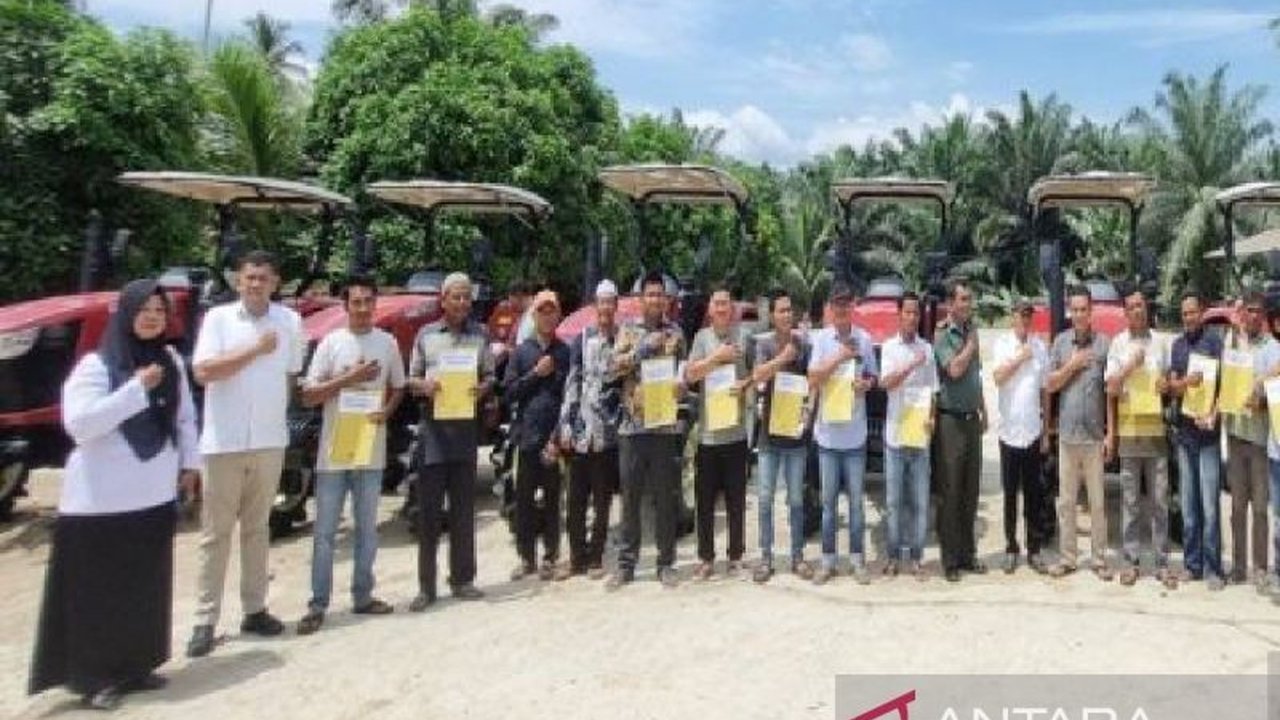 Sebanyak 14 kelompok tani di Mandailing Natal menerima bantuan alat dan mesin pertanian (Alsintan) dari Kementan untuk mengoptimalkan lahan rawa dan meningkatkan hasil panen padi.