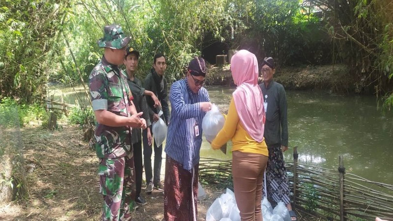 Dinas Kelautan dan Perikanan Gunungkidul tebar 138.000 benih ikan nilam dan tawes di Sungai Oya untuk menjaga ekosistem dan mencegah dampak negatif ikan invasif serta pencemaran.
