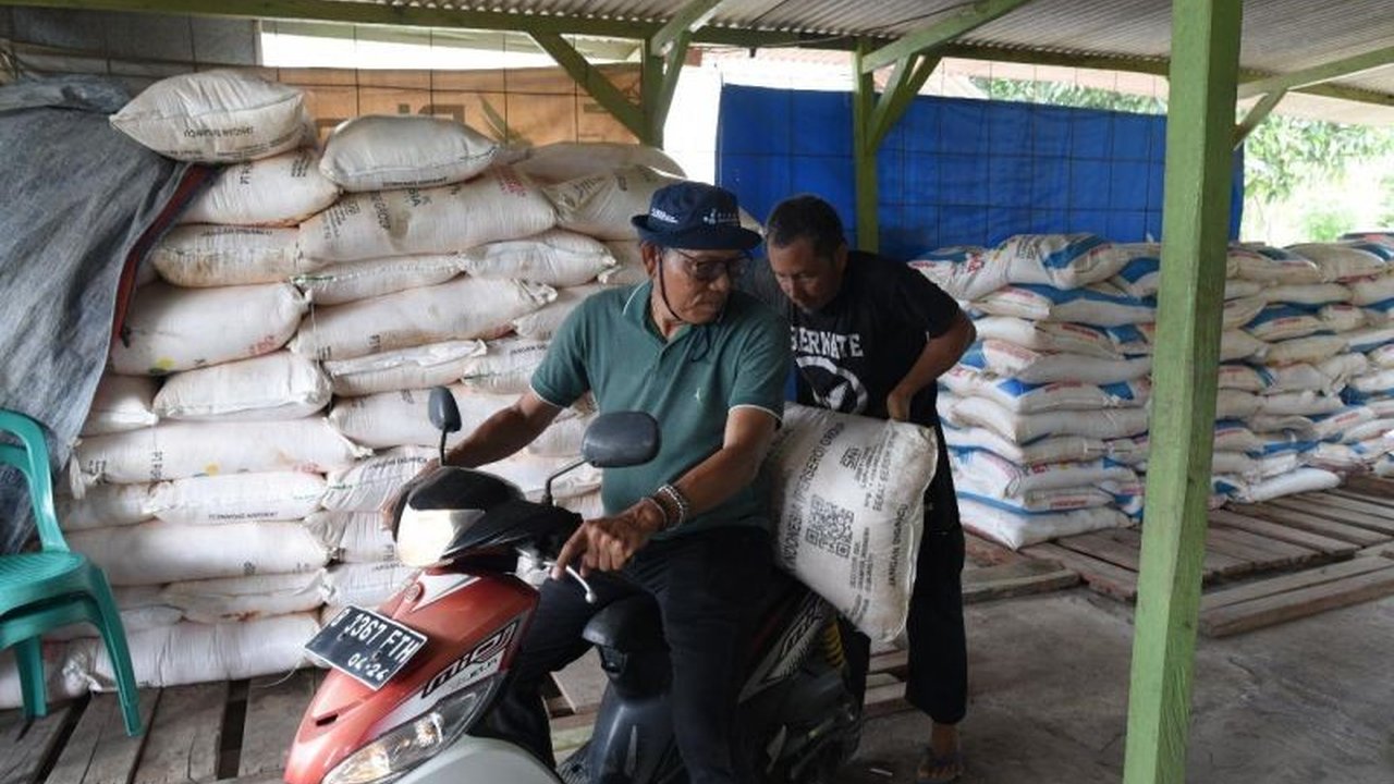 PT Pupuk Indonesia mengajak petani singkong mendaftar E-RDKK hingga 18 Maret 2025 untuk mendapatkan pupuk bersubsidi yang telah di alokasikan pemerintah.