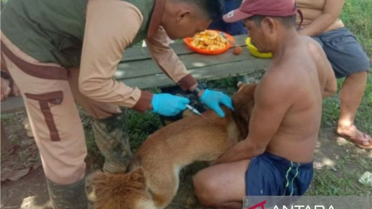 Dinas Kesehatan Kalbar mengingatkan masyarakat akan bahaya rabies setelah mencatat 5 kematian akibat gigitan anjing di tahun 2025; vaksinasi hewan peliharaan dan langkah-langkah pencegahan lainnya diimbau.