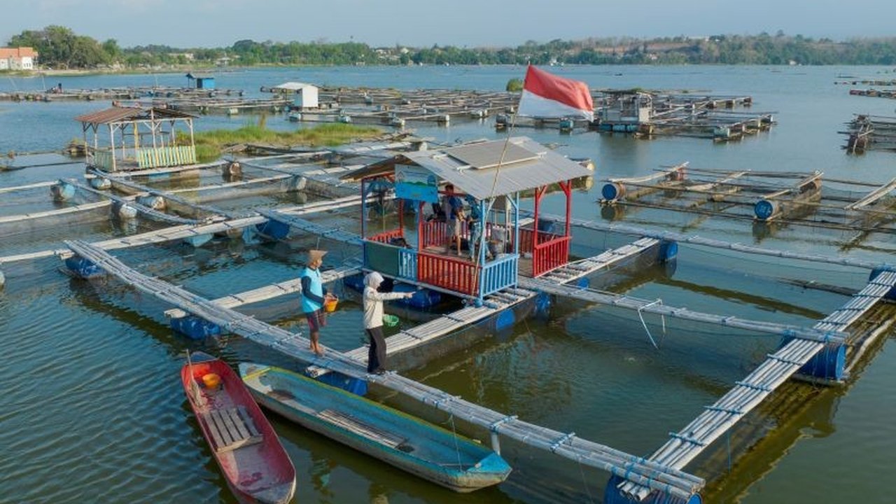 PLN Indonesia Power berhasil membukukan penjualan listrik sebesar 83.082 GWh pada tahun 2024, angka tertinggi dalam lima tahun terakhir, didorong oleh meningkatnya penggunaan energi listrik di masyarakat dan sektor industri.