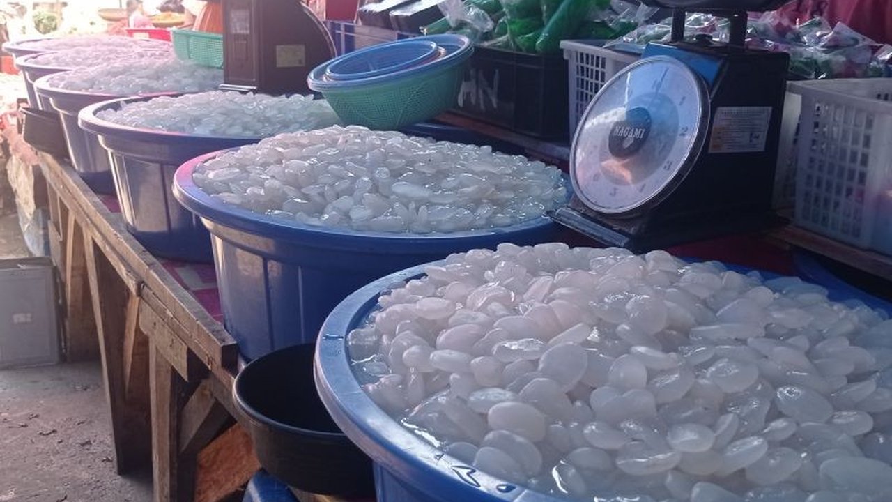 Ramadan tahun ini membawa berkah bagi perajin kolang-kaling di Lebak, Banten; permintaan tinggi membuat mereka kewalahan memenuhi pesanan dan meningkatkan pendapatan.