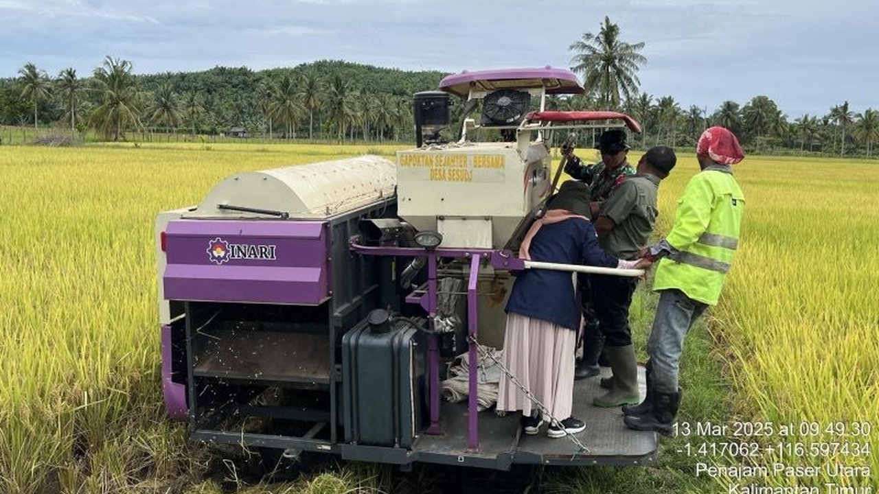 Kabupaten Penajam Paser Utara (PPU) sukses kembangkan benih padi Impari 43 bersama Poktan Sipatuo, Desa Sesulu, sebagai upaya mendukung swasembada pangan nasional dan meningkatkan produktivitas pertanian.