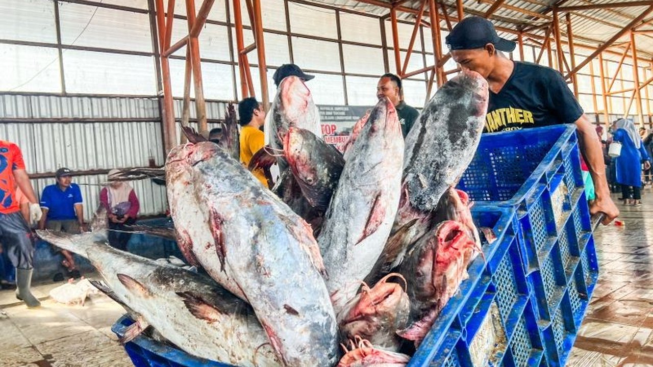 Kementerian Kelautan dan Perikanan (KKP) turunkan Unit Pelaksana Teknis (UPT) untuk awasi mutu hasil perikanan di pasar domestik seluruh Indonesia demi keamanan pangan masyarakat jelang Ramadhan dan Idul Fitri.