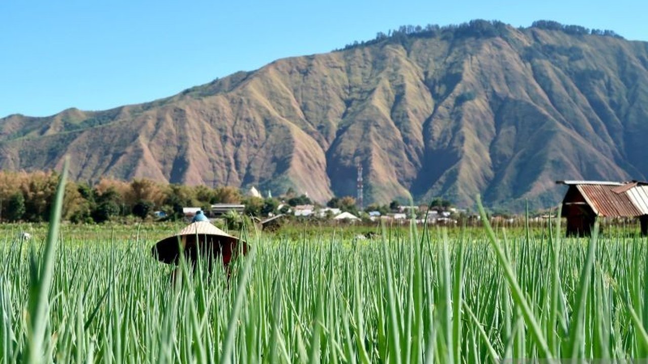 UNESCO melakukan validasi ulang status geopark Gunung Rinjani dan Tambora di NTB, memberikan lima rekomendasi penting untuk peningkatan pengelolaan dan keberlanjutan pariwisata.