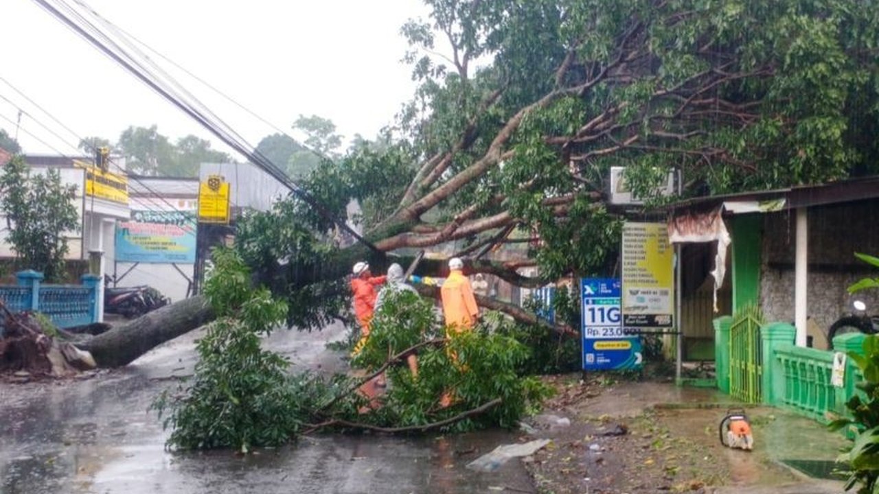 Hujan deras dan angin kencang di Garut mengakibatkan bencana hidrometeorologi; BPBD Garut mencatat 25 rumah rusak, satu masjid rusak, dan jalan nasional sempat tertimbun longsor.