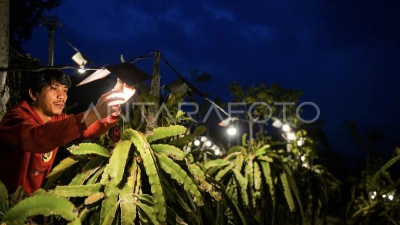 Pemerintah Kotim dan PLN UP3 Pangkalan Bun berkolaborasi meningkatkan kesadaran masyarakat tentang keselamatan ketenagalistrikan untuk mencegah kecelakaan akibat penggunaan listrik yang tidak aman.