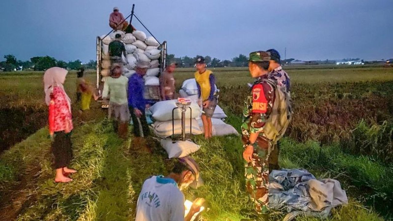 Bulog berhasil menyerap 300.000 ton gabah dan beras, capaian tertinggi dalam 5 tahun terakhir, menjelang panen raya April 2025 untuk menjaga stabilitas harga dan kesejahteraan petani.