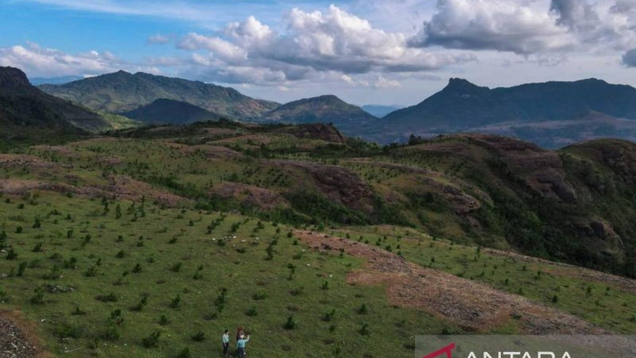 PT Vale Indonesia Tbk memperkuat kerja sama dengan media untuk mengedukasi publik tentang praktik pertambangan berkelanjutan dan transisi energi hijau, sejalan dengan komitmen keberlanjutan perusahaan dan penghargaan PROPER Emas serta Green Leadership Awa