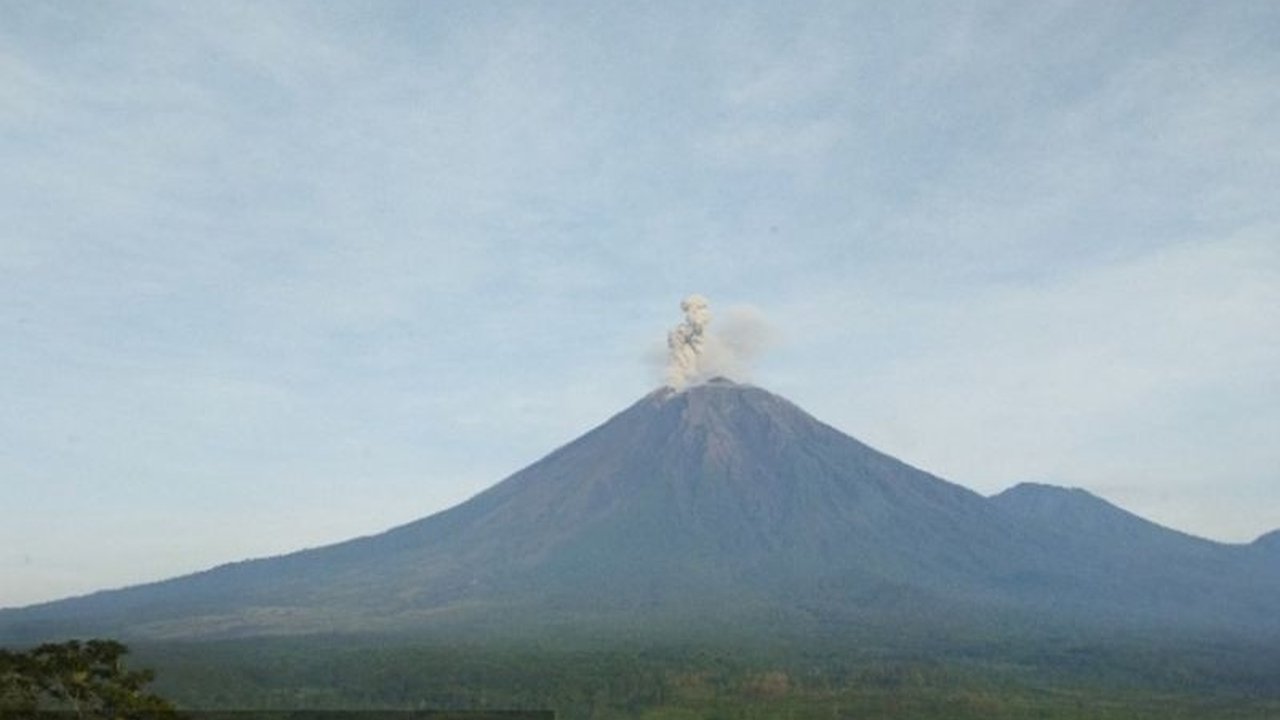 Gunung Semeru di Lumajang, Jawa Timur mengalami tiga kali erupsi pada Sabtu pagi dengan tinggi letusan hingga 800 meter, menyebabkan PVMBG mengeluarkan rekomendasi penting bagi warga sekitar.