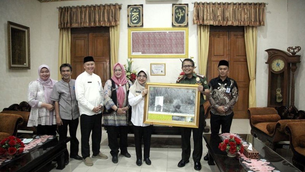 Balai Taman Nasional Ujung Kulon (BTNUK) mengembangkan penangkaran badak jawa di JRSCA untuk memperbaiki genetik populasi dan meningkatkan perekonomian masyarakat sekitar.