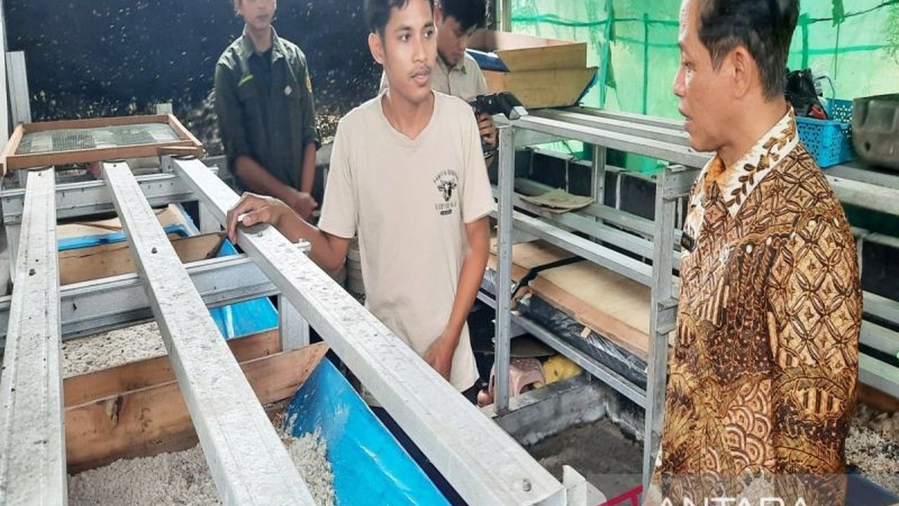 Menteri Lingkungan Hidup Hanif Faisol Nurofiq memuji budidaya maggot di Pasar Bauntung Banjarbaru sebagai solusi efektif mengatasi sampah organik dan mendukung Gerakan Nasional Membersihkan Pasar Nusantara.