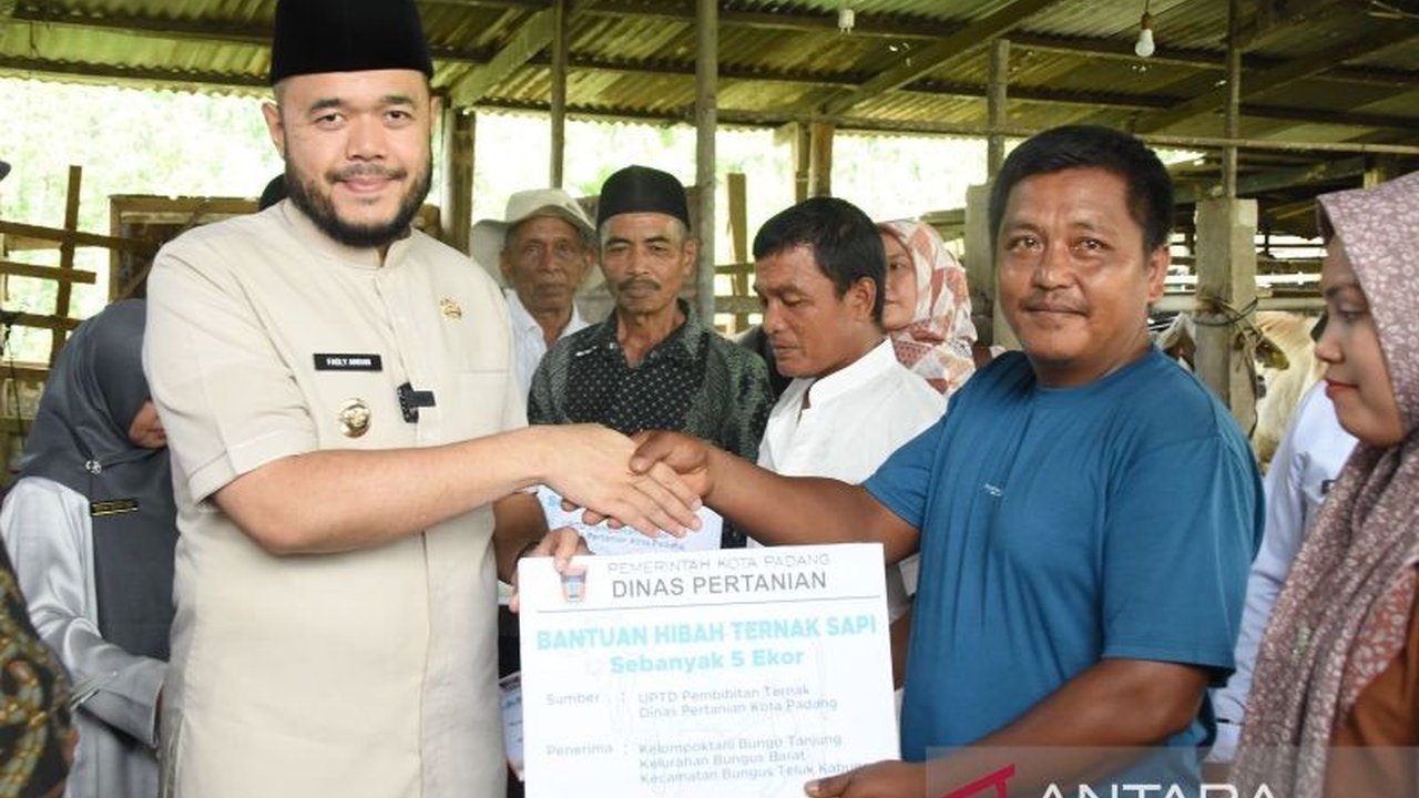 Pemerintah Kota Padang menyalurkan 22 ekor sapi kepada lima kelompok tani untuk meningkatkan populasi sapi potong dan produksi daging di daerah tersebut, sebagai bagian dari program Padang Melayani.