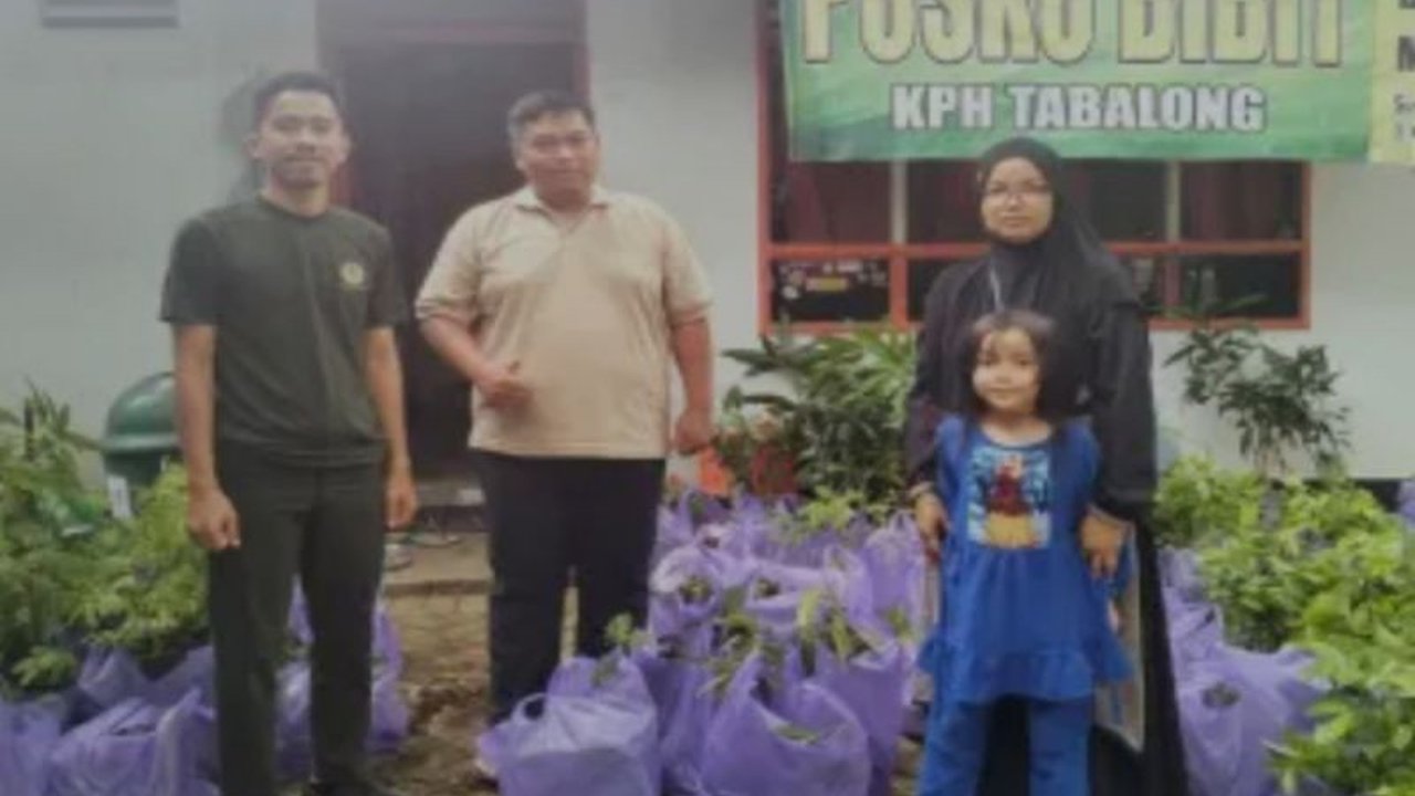 KPH Tabalong gencar menjalankan program revolusi hijau dengan menyediakan bibit tanaman gratis bagi masyarakat dan instansi di Kabupaten Tabalong, Kalimantan Selatan.