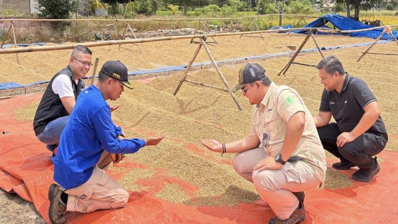 Bulog Kalimantan Tengah berhasil melampaui target serapan gabah petani hingga 114 persen, mencapai 2.130 ton dari target 1.856 ton pada tahun 2025,  mendukung swasembada pangan nasional.
