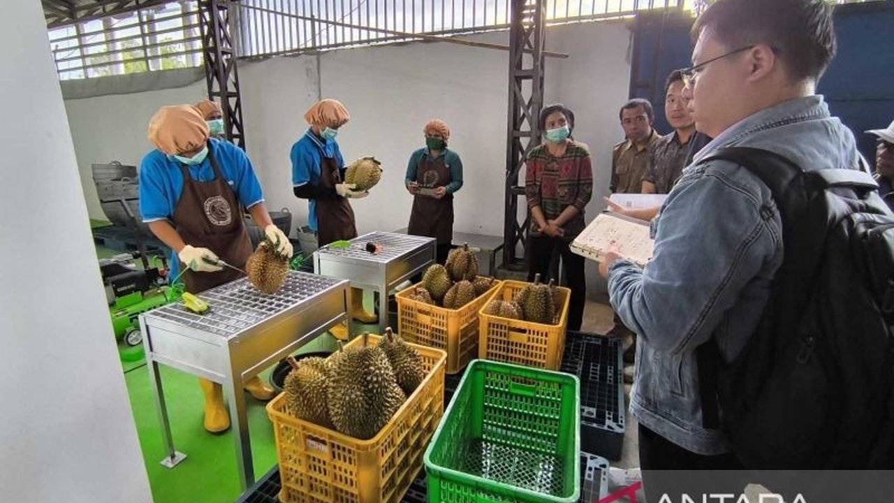 Pemerintah Provinsi Sulawesi Tengah menunggu hasil audit protokol ekspor durian ke China yang menentukan nasib petani dan peluang ekspor komoditas unggulan ini.