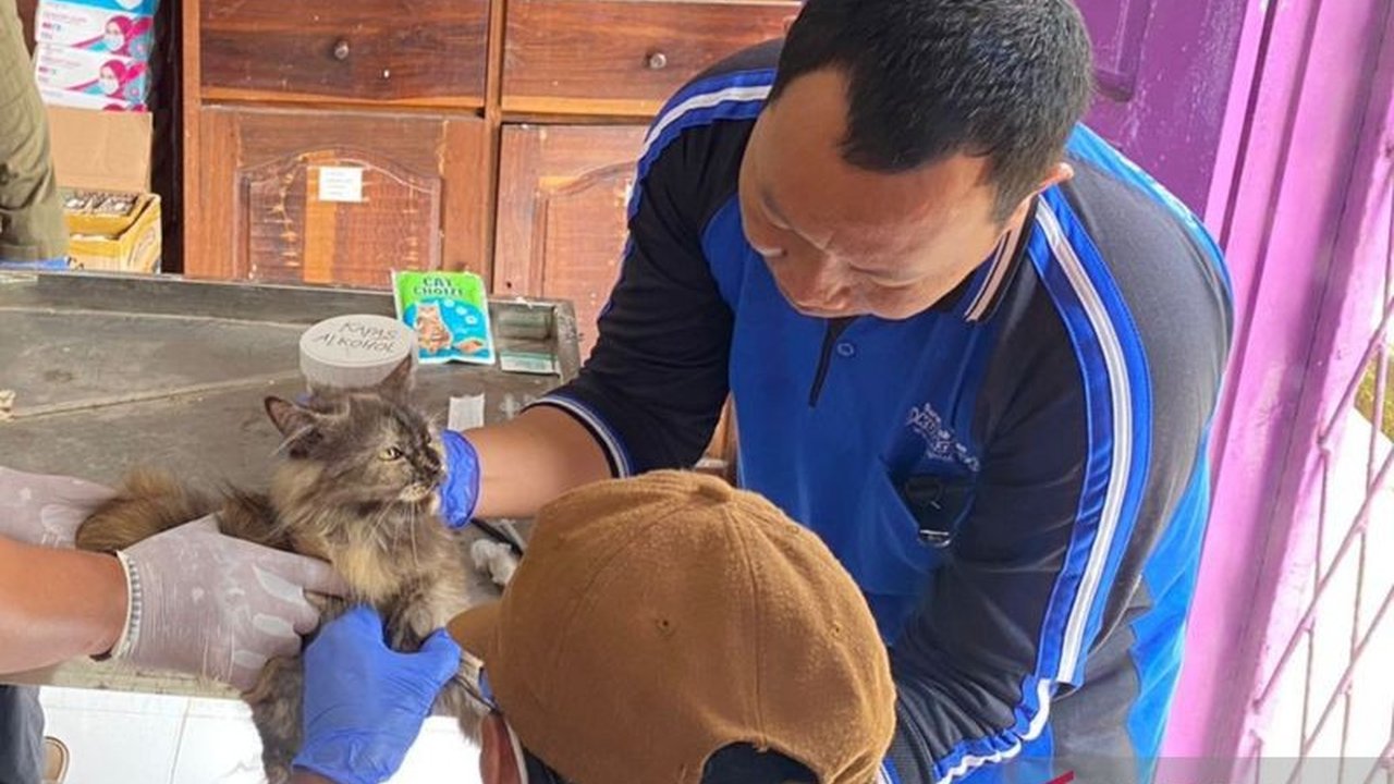 Pemkab Mukomuko, Bengkulu, melalui Distan, menargetkan vaksinasi rabies pada 2.300 hewan peliharaan tuntas pada April 2025, guna mencegah penularan rabies.