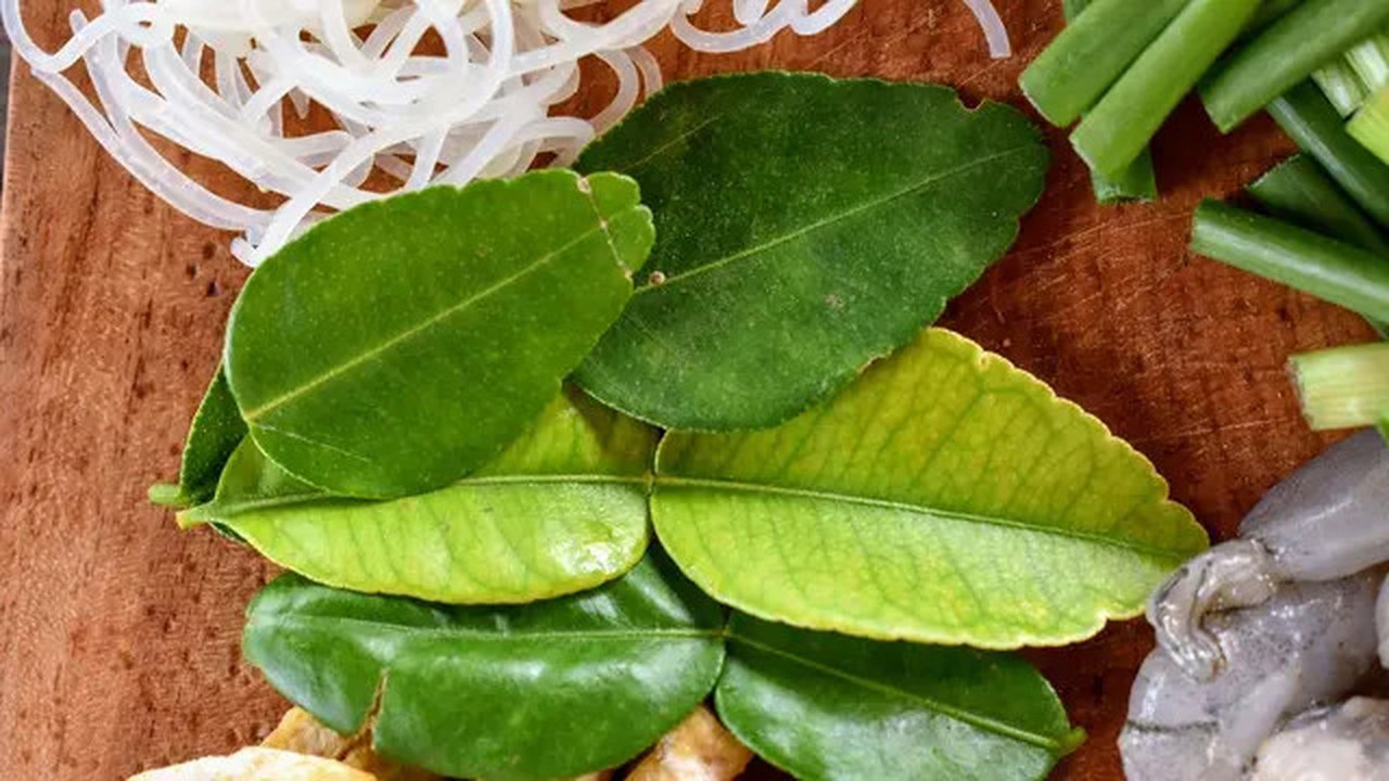 Ilustrasi daun jeruk. (Photo by WonderfulBali on Pixabay)