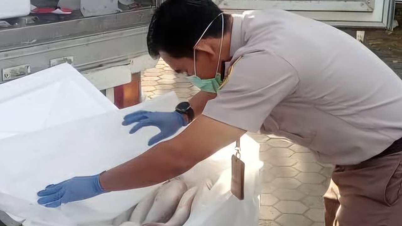 Karantina Kepri memastikan kualitas 1.118,8 kg ikan anggoli segar diekspor ke Amerika Serikat, membuktikan kualitas produk perikanan Kepri yang memenuhi standar internasional.