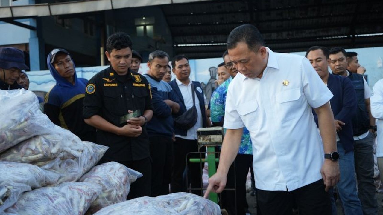 Direktur Jenderal Perikanan Tangkap KKP, Lotharia Latif, memastikan pasokan ikan aman dan harga stabil menjelang Lebaran 2025 di Tegal, Jawa Tengah, setelah meninjau langsung Pelabuhan Perikanan Nusantara Tegalsari.
