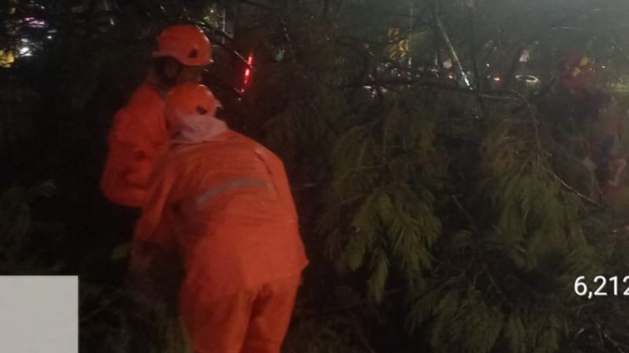 Hujan deras disertai angin kencang menyebabkan 13 pohon tumbang di Jakarta, mengakibatkan dua orang luka ringan setelah mobil mereka tertimpa pohon tumbang di Kebon Sirih, Jakarta Pusat.