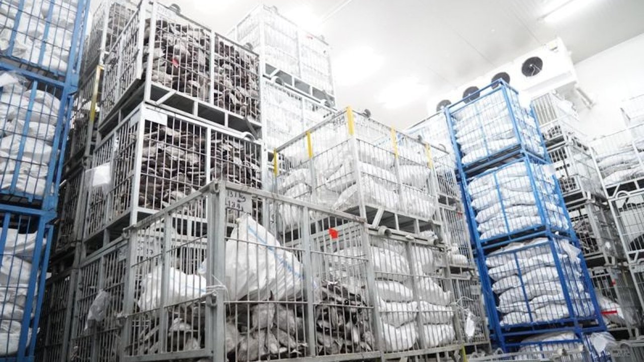 Kementerian Kelautan dan Perikanan (KKP) mendorong pengembangan bisnis gudang beku untuk menstabilkan harga dan menjamin distribusi ikan di Indonesia, menawarkan peluang investasi menguntungkan bagi wirausahawan.