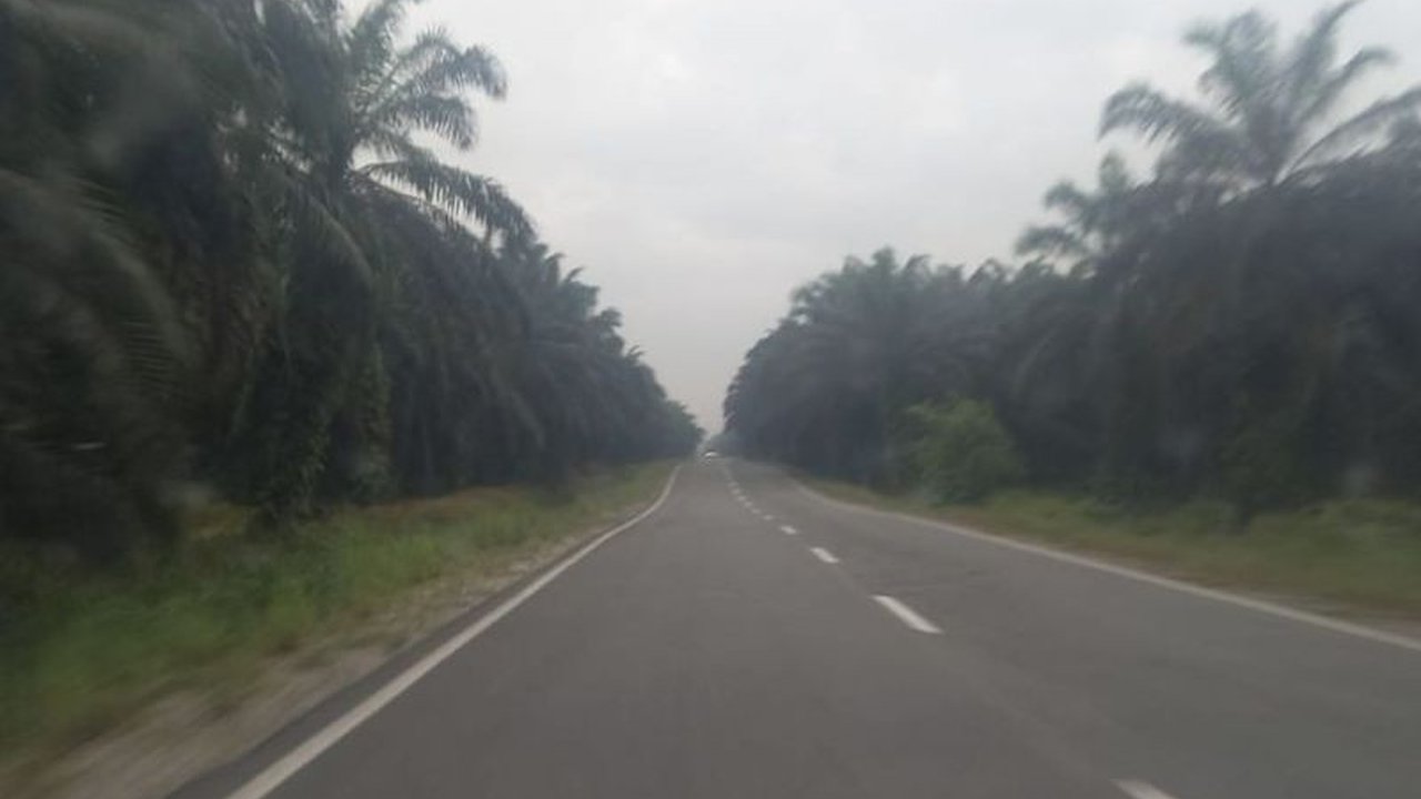 Harga tandan buah segar (TBS) sawit Riau periode 19-25 Maret 2025 naik Rp28,36/kg menjadi Rp3.718,09/kg, didorong kenaikan harga CPO dan kernel.