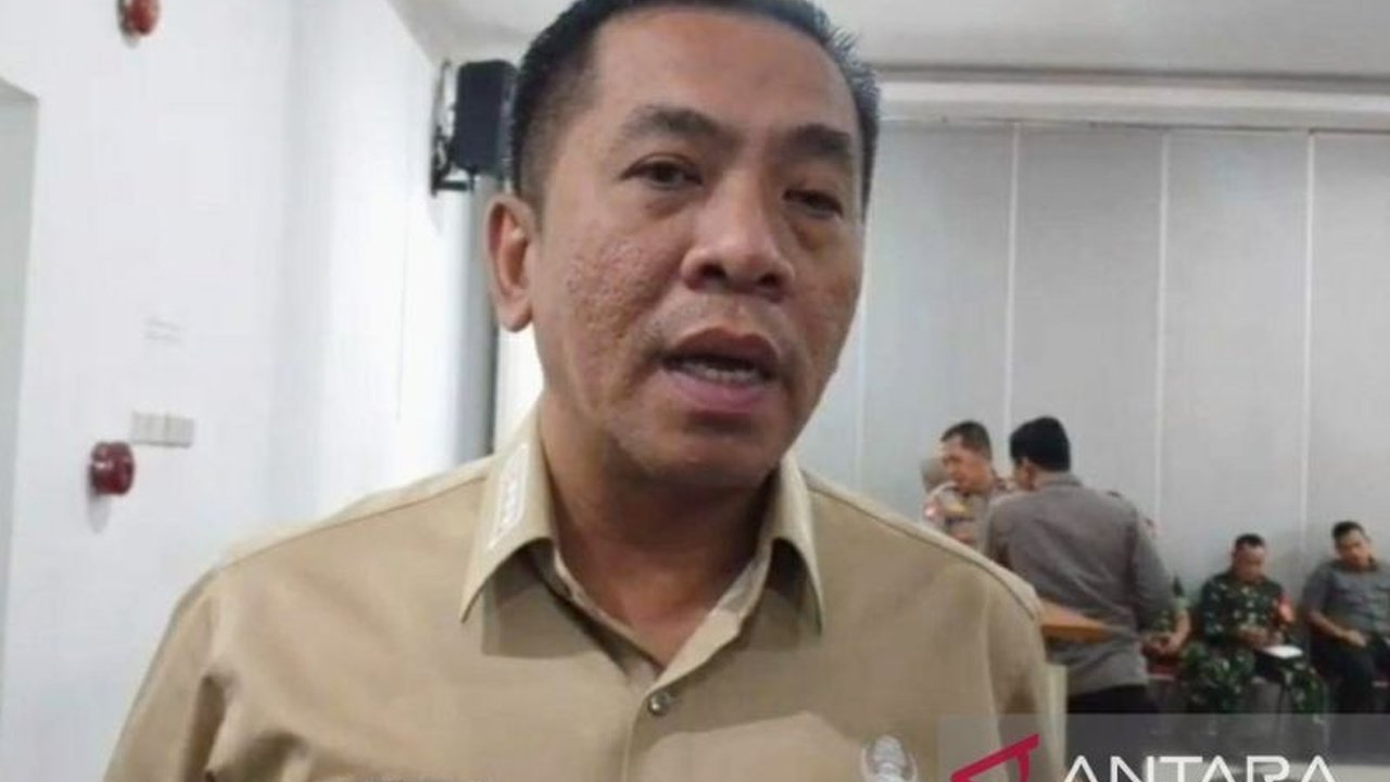 Bupati Karawang, Aep Syaepuloh, memastikan lampu Penerangan Jalan Umum (PJU) di jalur mudik Lebaran 2025 berfungsi optimal demi keamanan dan kenyamanan pemudik.