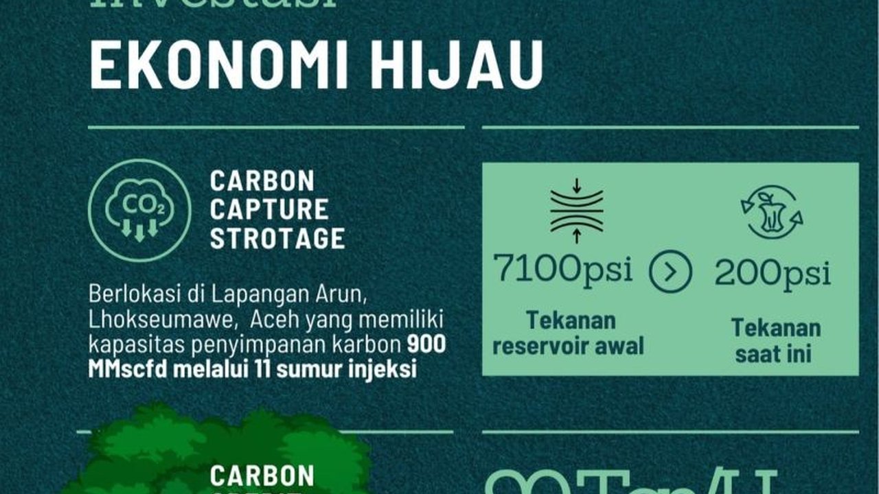 PT Pembangunan Aceh (PEMA) fokus pada ekonomi hijau untuk menarik investasi global, mengembangkan energi terbarukan, dan menerapkan prinsip keberlanjutan.
