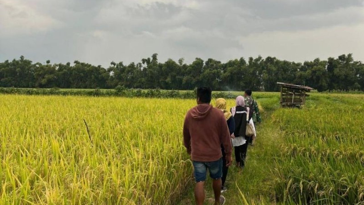 Realisasi penyerapan gabah petani di Bulog Kediri pada musim panen 2025 melampaui target hingga 137,21 persen, berkat kerjasama dan kemudahan akses bagi petani.